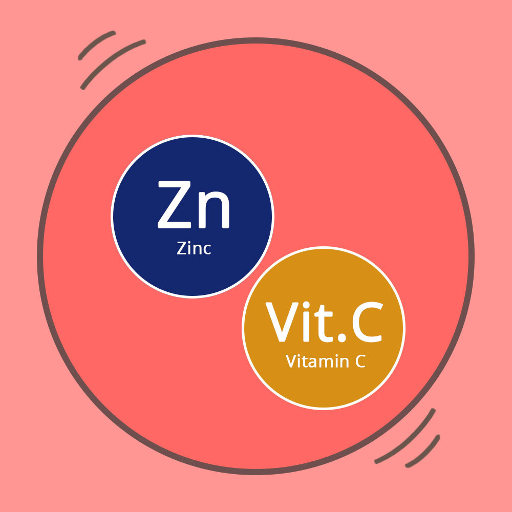 The relationship between zinc and vitamin C