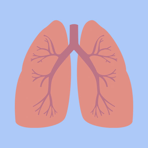 zinc and respiratory infections