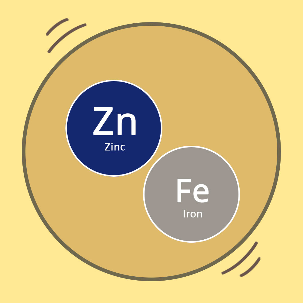 Zinc and iron deficiency